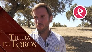 ¿Qué es la Hemorragia Epizoótica  Tierra de Toros [upl. by Elison]