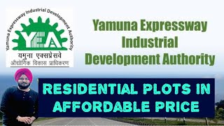 Noida Authority Plots मात्र 14127 रू गज  Residential Plots In Affordable Price plots delhi dda [upl. by Dore]