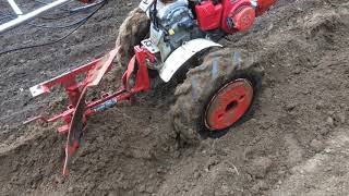 Honda F600 Tiller with Plough [upl. by Rosalia]