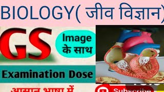 जीव  BIOLOGY GENERAL STUDY FOR ALL COMPETITIVE EXAMINATIONS UPP UPSC UPPSC RAILWAY BANKING BPSC [upl. by Icak921]