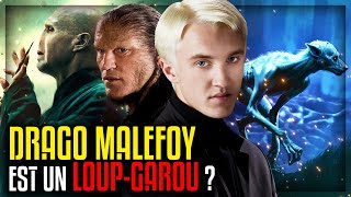 CONNAISSAISTU CETTE THÉORIE SUR DRAGO MALEFOY  HARRY POTTER [upl. by Jerman]