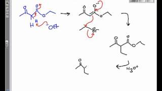 The Acetoacetic Ester Synthesis [upl. by Asel]