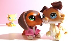 Littlest Pet Shop Popular Episode 21 Whats Done is Done Soustitres français [upl. by Lynus]