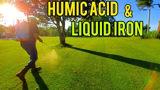 How to Have a Healthier Greener Lawn with Humic Acid and Liquid iron [upl. by Conrade]