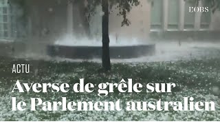 Une averse de grêle détruit les arbres du Parlement Australien [upl. by Chiang]