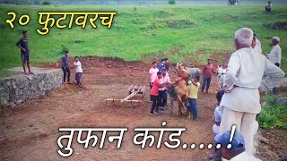 bailgada sharyat  २० फुटावरच तुफान कांड  horse and bull racing [upl. by Wenda]