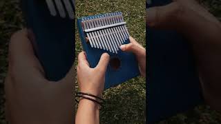 Artcell  Oniket Prantor Kalimba cover [upl. by Eenimod54]