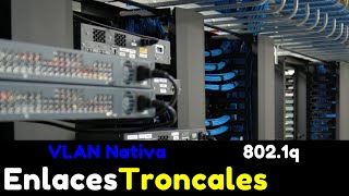 ¿Qué son los ENLACES TRONCALES y protocolo IEEE8021Q [upl. by Corliss]