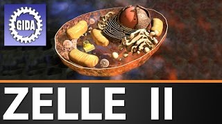 Trailer  Zelle II  Biologie  Schulfilm [upl. by Candice532]