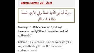 Bakara Suresi 201Ayet Rabbena duası [upl. by Ithaman]