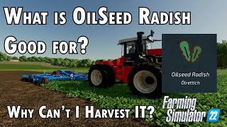 Farming Simulator 2017  Episode 6  Day 2 Plow Oilseed Radish Cultivate Sow amp Mow [upl. by Lytle]