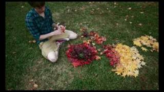 Time Lapse Leaves [upl. by Lindley874]