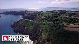 Sercq une seigneurie féodale qui perdure dans la Manche [upl. by Gentille698]