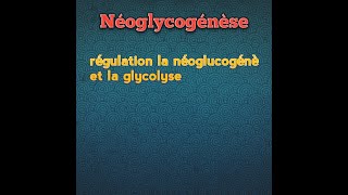 L3 Biochimie métaboliqueNéoglucogénèse Régulation glycolyse et néoglycugénèse [upl. by Annie]