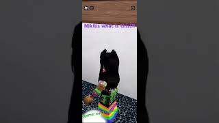 Nikilis what is this mm2 capsize tw sussy song funny roblox mm2 [upl. by Lenehc990]