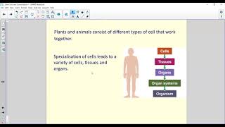 National 5 Biology  Stem Cells and Specialised Cells [upl. by Deanne]