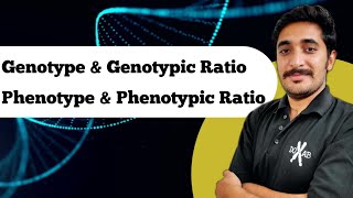 What is Genotype Phenotype Genotypic Ratio and genotypic Ratio  Generics Terminology  Hindi [upl. by Persson976]