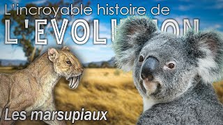 Les marsupiaux  Évolution  Paléontologie  Simplex Paléo [upl. by Annelise]