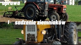 Uprawa i sadzenie ziemniaków 🤠 ZetorampUrsus💪ursus zetor [upl. by Wojak]