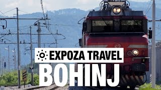 Bohinj Museum Railway Slovenia Vacation Travel Video Guide [upl. by Gorrono]