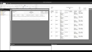 EPIOCR BAQ Report  SSRS Report [upl. by Adeline]