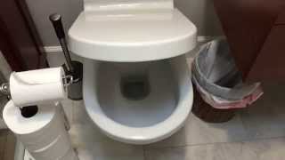 Flushing an American style Washdown toilet [upl. by Enrak]