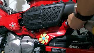 2022 Honda CT125 Air Filter Replacement [upl. by Aufa952]