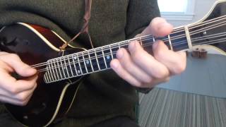 Cooleys Reel with Tabs  Mandolin Lesson [upl. by Loos]