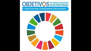 Você sabe o que é a Agenda 2030 [upl. by Philps104]