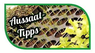 Aussaat amp Gartentipps im April 🌱 Jungpflanzenanzucht 🥦 Gemüse erfolgreich anbauen [upl. by Rostand]