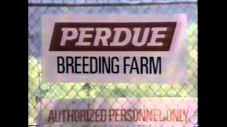 1991 Perdue Fresh Oven Stuffer Roaster Commercial [upl. by Harve928]