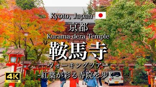 Kyoyo Japan quotKuramadera Templequot  Beautiful Autumn Leaves Season 4K [upl. by Newnorb]