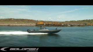 Goldish M12 RHIB [upl. by Zulch]