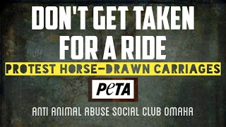 Protest HorseDrawn Carriages  PETA  Omaha Ne July 27th 2024 [upl. by Gupta]