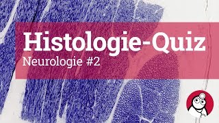 DocCheck HistologieQuiz Neurologie 2 [upl. by Lohse]