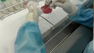 Sputum Smear Preparation [upl. by Nosnaj]