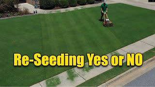 Reseeding Lawns  Does and Donts [upl. by Arah317]