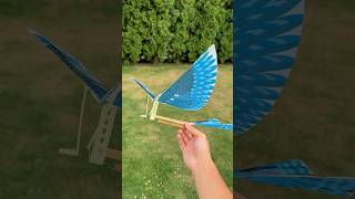 a Flying Bird Ornithopter  Amazing Toy diy inventions craft [upl. by Baiel]