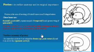 02HeadampNeckskull bone part 2 شرح اناتومي للدكتور احمد كمال [upl. by Collette]