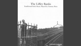 The Liffey Banks [upl. by Etiragram797]