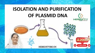 Plasmid DNA Isolation।Alkaline lysis method । Heredity Biosciences [upl. by Anitnahs]