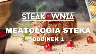 Jak przygotować steka na patelni Polędwica wołowa  Meatologia 1 [upl. by Odnalor581]