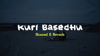 Satarangi Fula Jhai Kuri Basechu  Slowed amp Reverb  Samir Shrestha X Sabal Dev Shrestha [upl. by Ayota195]