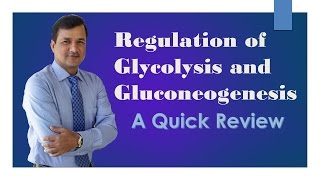 Glycolysis and Gluconeogenesis Regulation [upl. by Chuck665]