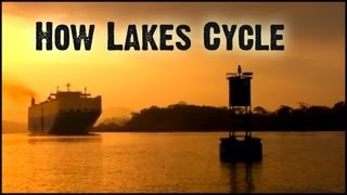 How Lakes Cycle Untamed Science [upl. by Opiuuk58]