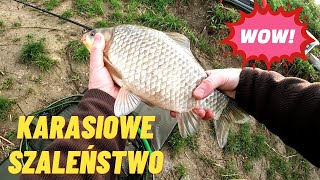 WIOSENNE KARASIE  METHOD FEEDER amp WĘDKARSTWO GRUNTOWE [upl. by Annauqaj98]