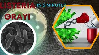 listeria microbiology lecture listeria grayi Easy Microbiology [upl. by Ielerol14]