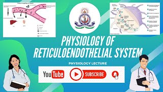 PHYSIOLOGY OF RETICULOENDOTHELIAL SYSTEM [upl. by Ferrel972]