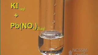 Double Displacement Lead Nitrate and Potassium Iodide [upl. by Briney]