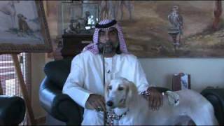 The Arabian Saluki Center [upl. by Behnken]